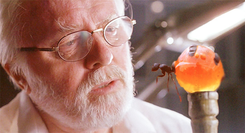 Jurassic Park cane as a honeypot ant