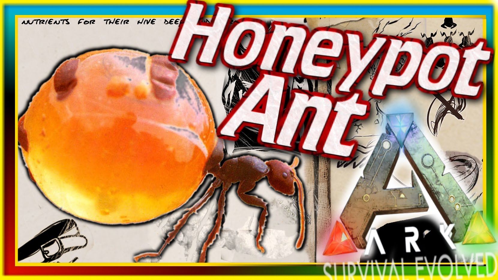 honeypot ant youtube video by Xylophoney